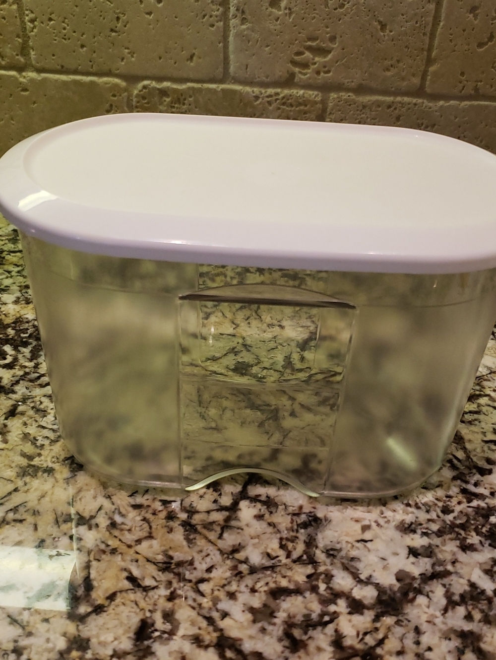 Tupperware Clear Container with White Lid